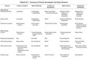 Definitions of filariae