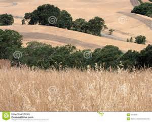 Definitions of firebreaks