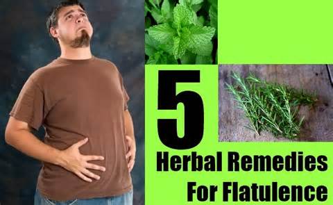 flatulence の定義