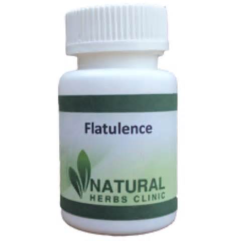 flatulence の定義