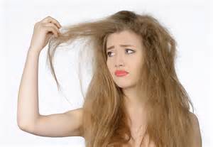 definisyon nan frizz