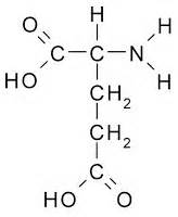 Ορισμός του glutamic