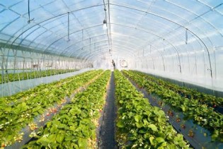 Definition von greenhouse