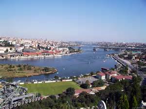 halic 定義