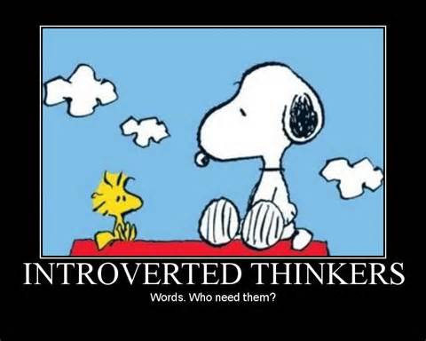 Definitions of introverts