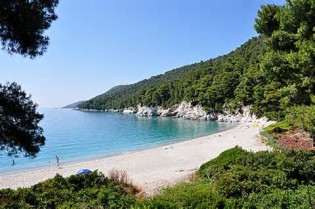 definisyon nan kastani