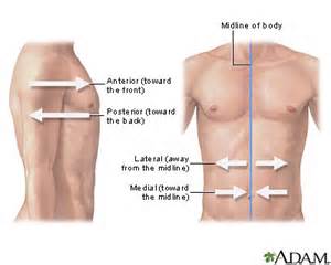 Definició de lateral
