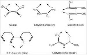 Definisi ligands