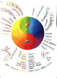 Definice macrobiotic