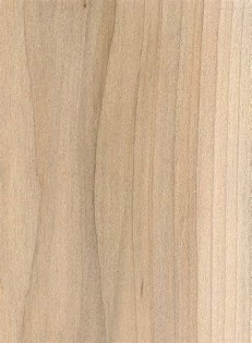 opredelitev maple