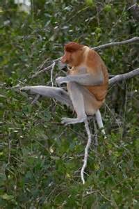 definisyon nan nonchalantly