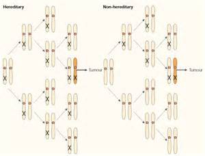 Definice nonhereditary