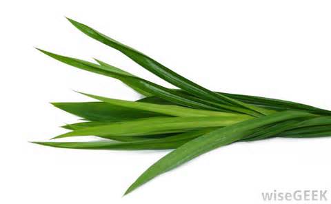 definisyon nan pandan