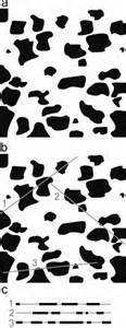 diffiniad o patchiness