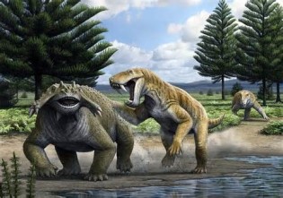 Apibrėžimas permian