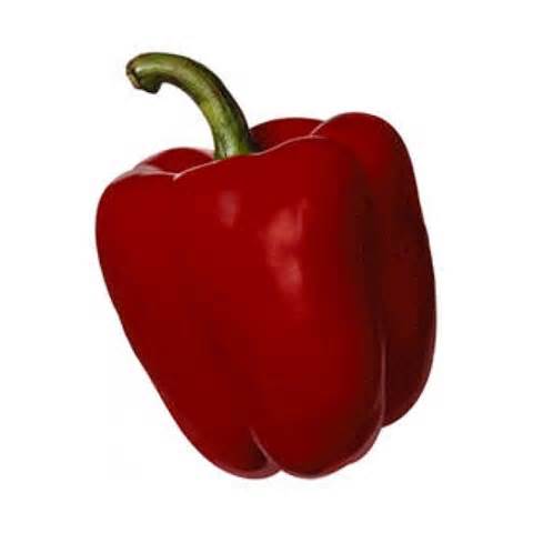 definisyon nan pimiento