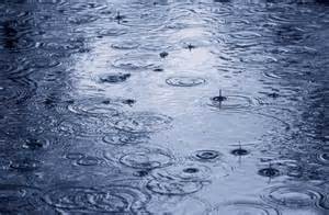 precipitationrain是什么意思