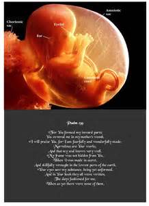 Definitions of preeminence