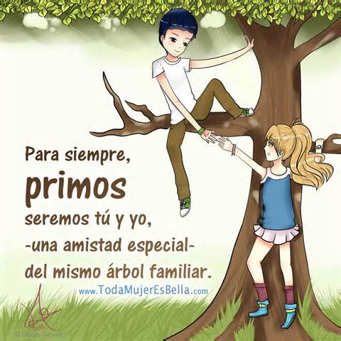 Mõiste primos