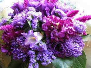 definisyon nan purpler