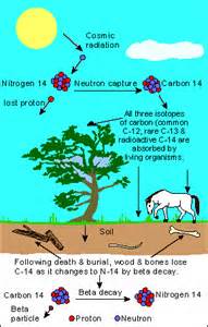 تعریف ازradiocarbon