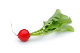 opredelitev radish