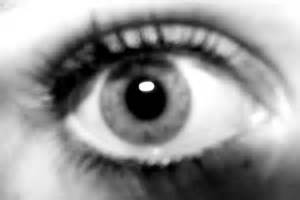 definizzjoni ta regard