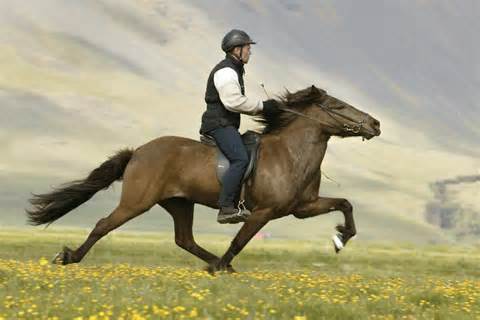 Definizione di riding