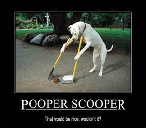 Definice scooper