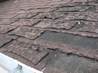 Definice shingle