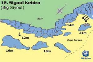 Definice siyoul