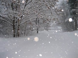 Definizione di snowstorm