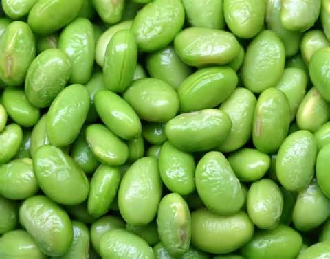 opredelitev soybeans