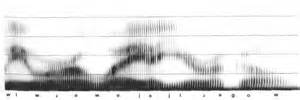 spectrogram 定義
