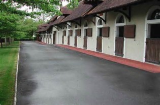 Meghatározása stables