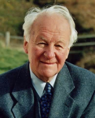 definisyon nan stott