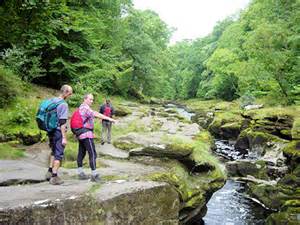diffiniad o strid