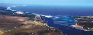 definisyon nan witsand