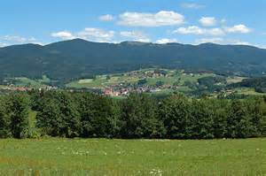 Definitions of zellertal