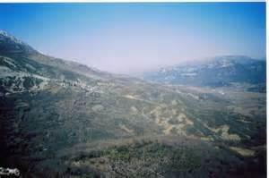 opredelitev aidonochorion
