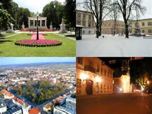 Definizione di bjelovar