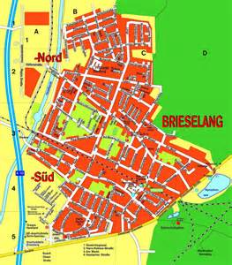 definition av brieselang