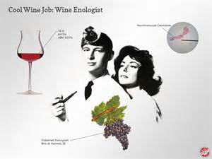 Mõiste enologist