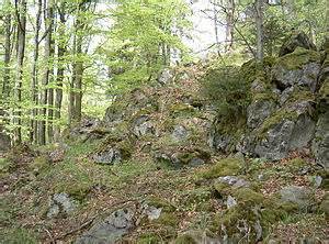 Definitions of eulenberg