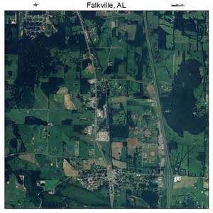 визначення falkville