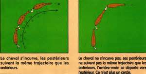 Definitions of incurvation