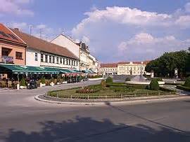 definizzjoni ta koprivnice