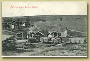 kvevli परिभाषा