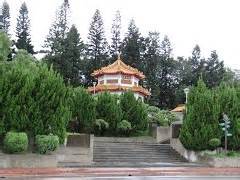 litoubiao の定義
