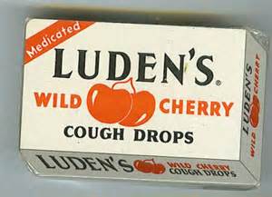 ludens 定義